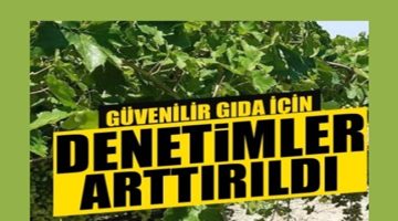 Sebzede ilaç kalıntısı denetimleri devam ediyor