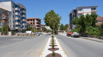 Zile’de kuru peyzaj uygulaması yaygınlaşıyor