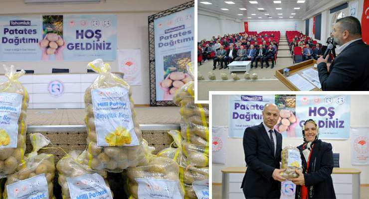 TOGÜ’de yetiştirilen Tokat’ın yerli patatesleri üreticiye güç katacak