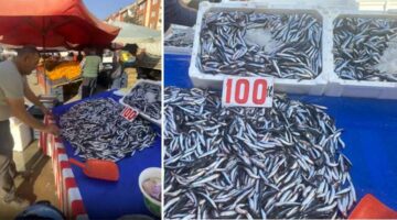 Tokat’ta, Hamsi tezgahta 150, Pazarda 100 lira