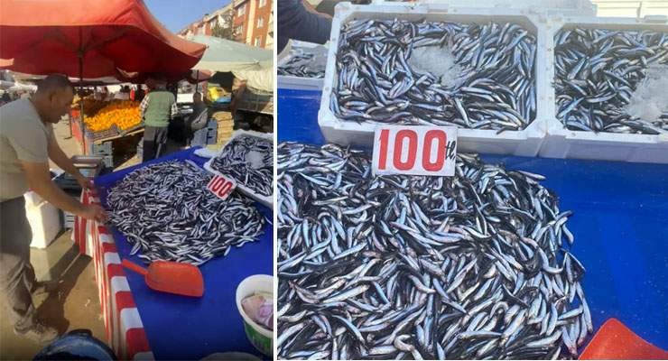 Tokat’ta, Hamsi tezgahta 150, Pazarda 100 lira