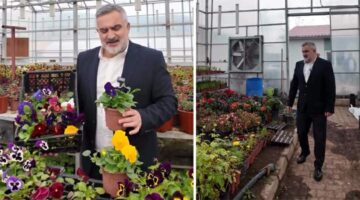 Niksar Belediyesi, Kendi çiçeğini kendi üretiyor