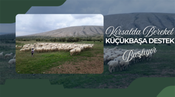 Artova’da ‘Kırsalda bereket küçükbaşa destek projesi’