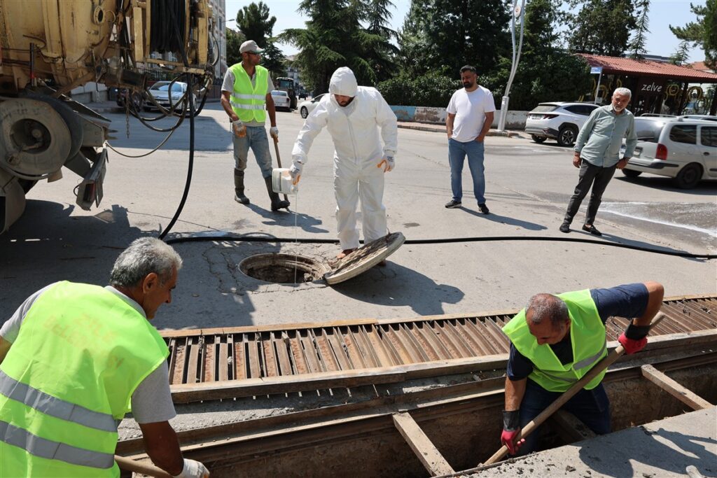 Zile’de haşerelere karşı yoğun ilaçlama